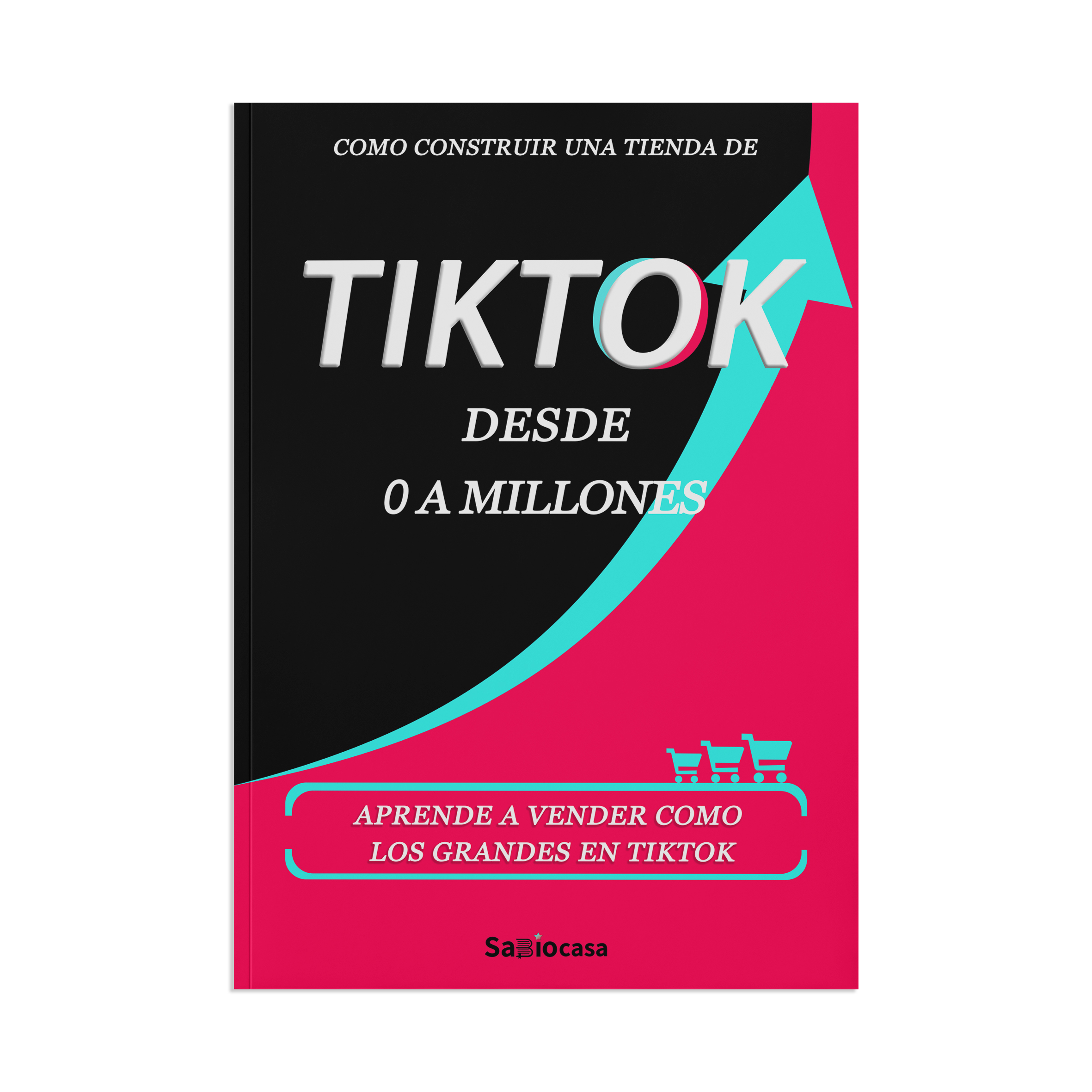 COMO CONSTRUIR UNA TIENDA DE TIKTOK DESDE 0 A MILLONES
