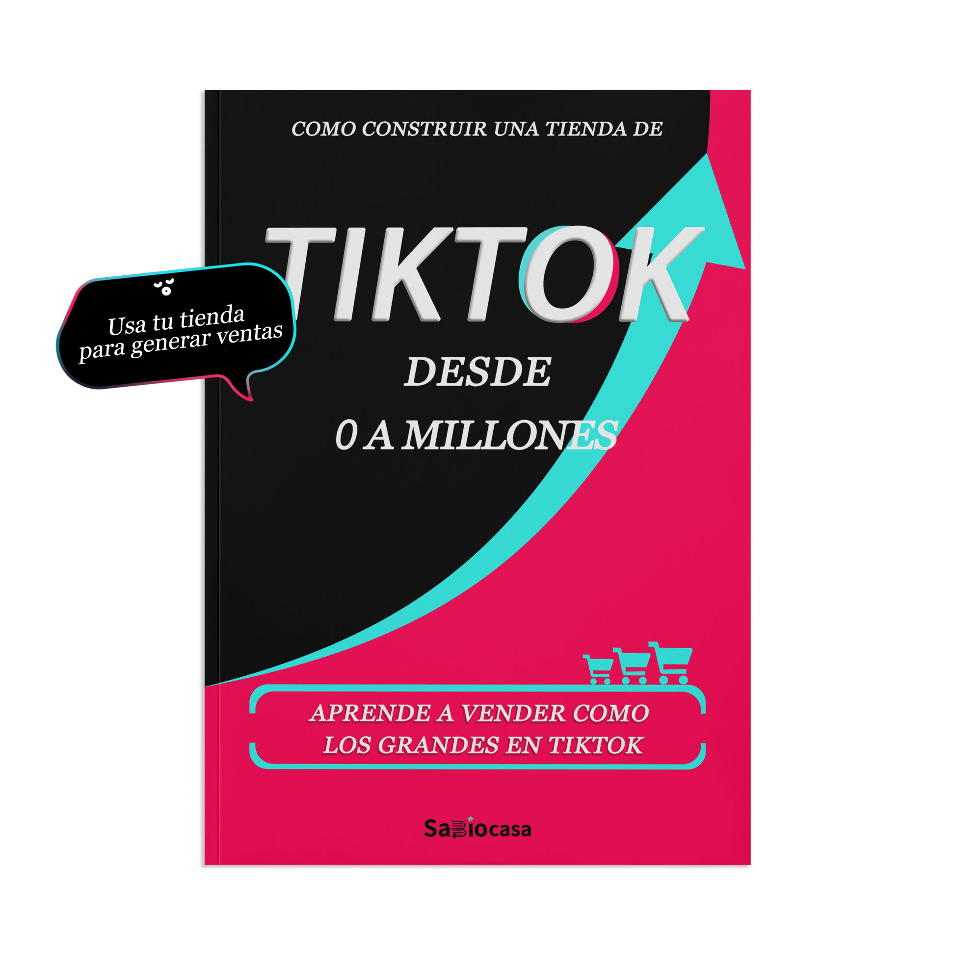 COMO CONSTRUIR UNA TIENDA DE TIKTOK DESDE 0 A MILLONES-1