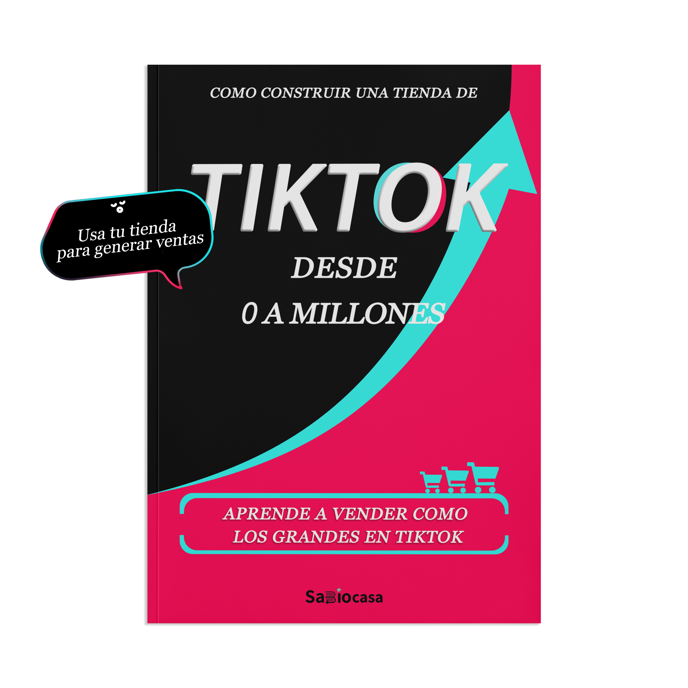 COMO CONSTRUIR UNA TIENDA DE TIKTOK DESDE 0 A MILLONES