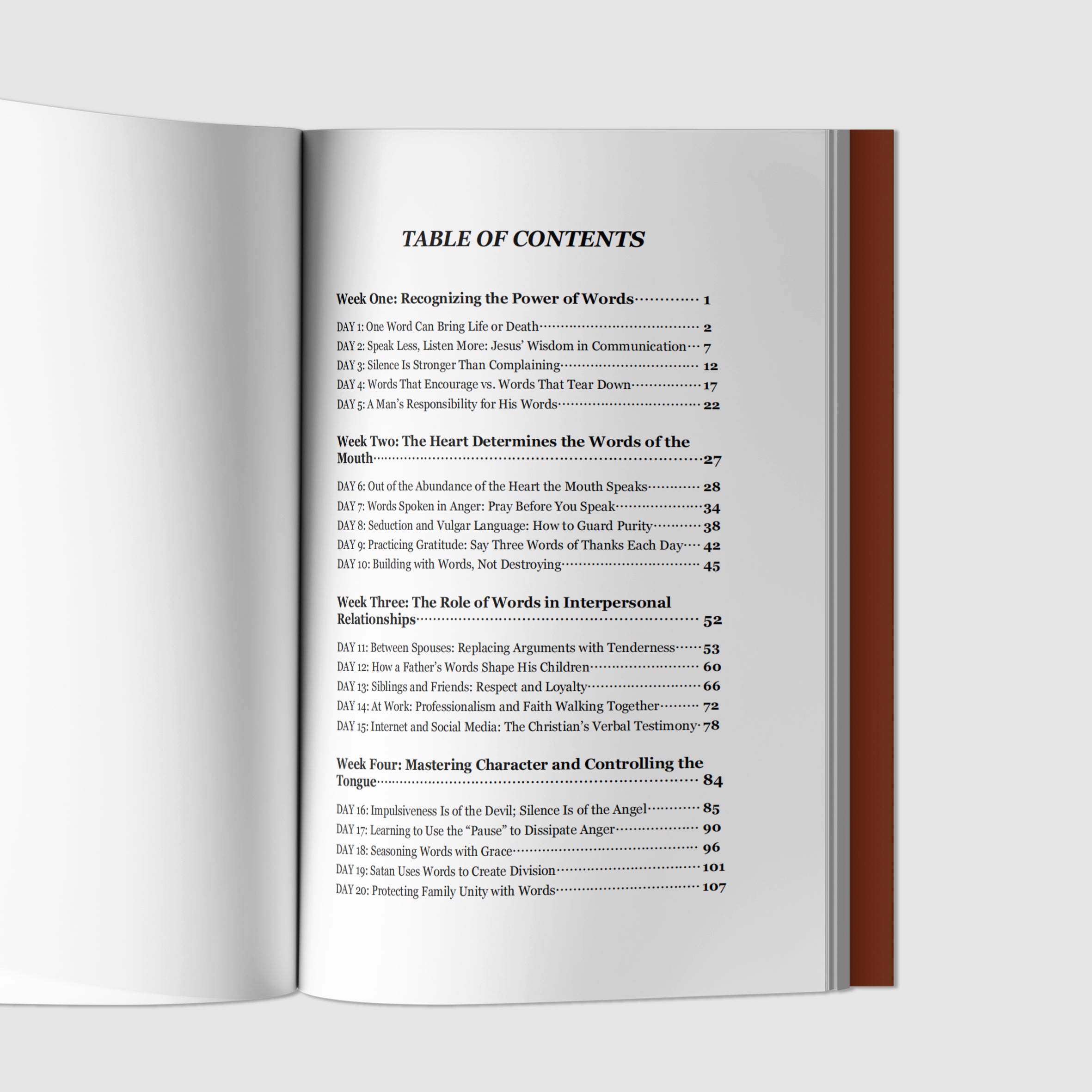 40 DAYS OF SILENT JOURNEY-zoom-4