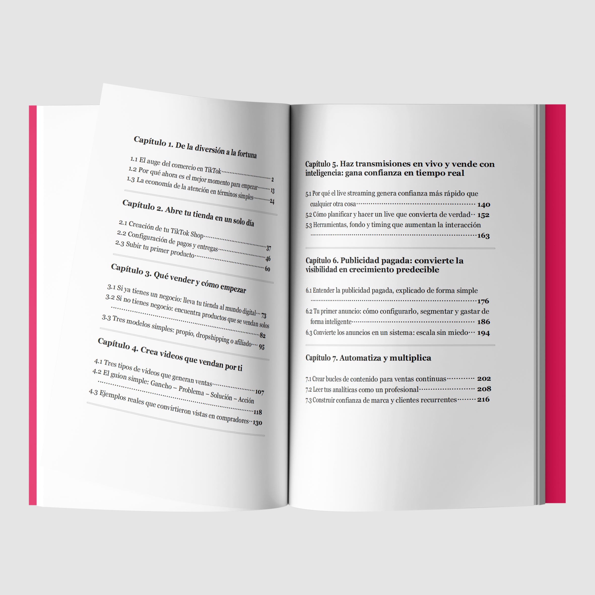 COMO CONSTRUIR UNA TIENDA DE TIKTOK DESDE 0 A MILLONES-zoom-4