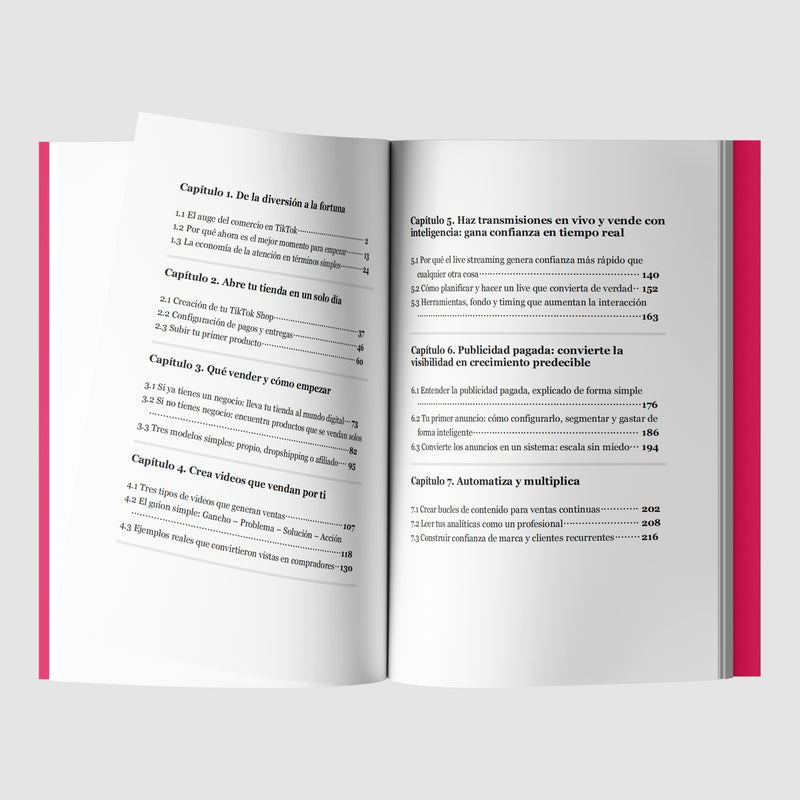 COMO CONSTRUIR UNA TIENDA DE TIKTOK DESDE 0 A MILLONES-zoom-