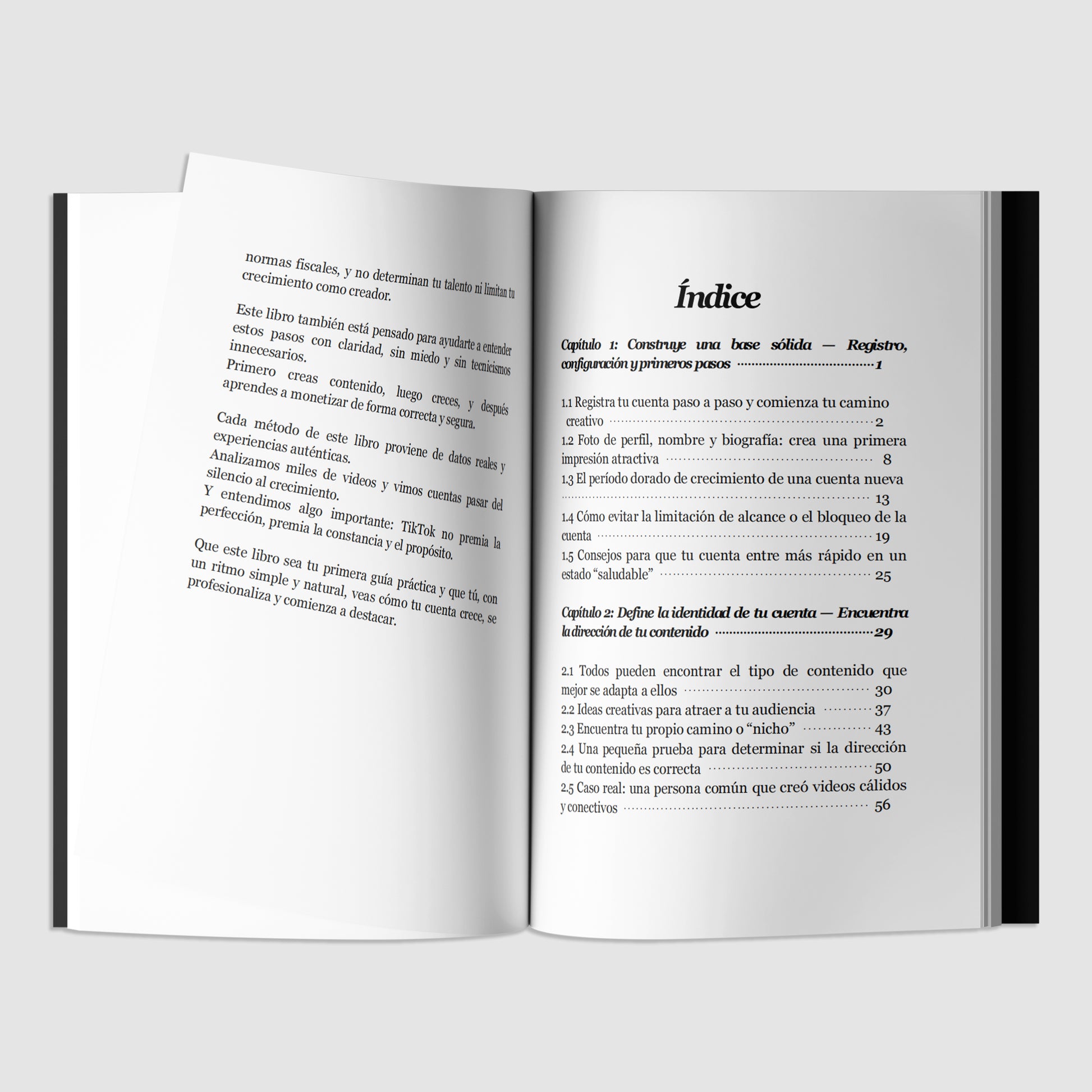 TIKTOK CREADOR HACER DINERO MANUAL-4