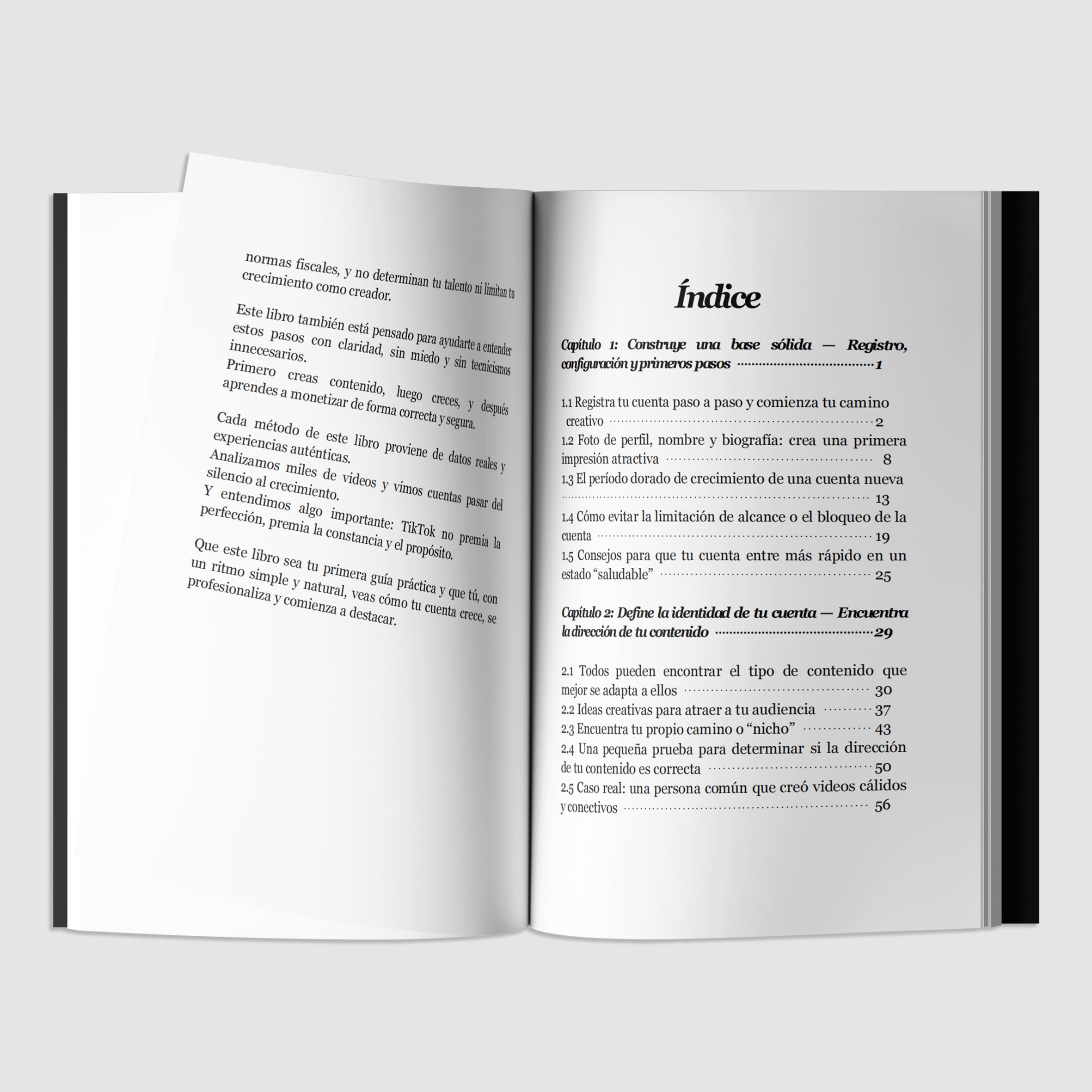 TIKTOK CREADOR HACER DINERO MANUAL-zoom-4