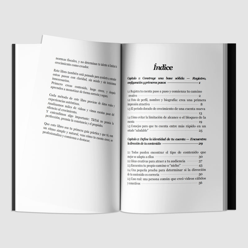 TIKTOK CREADOR HACER DINERO MANUAL-zoom-