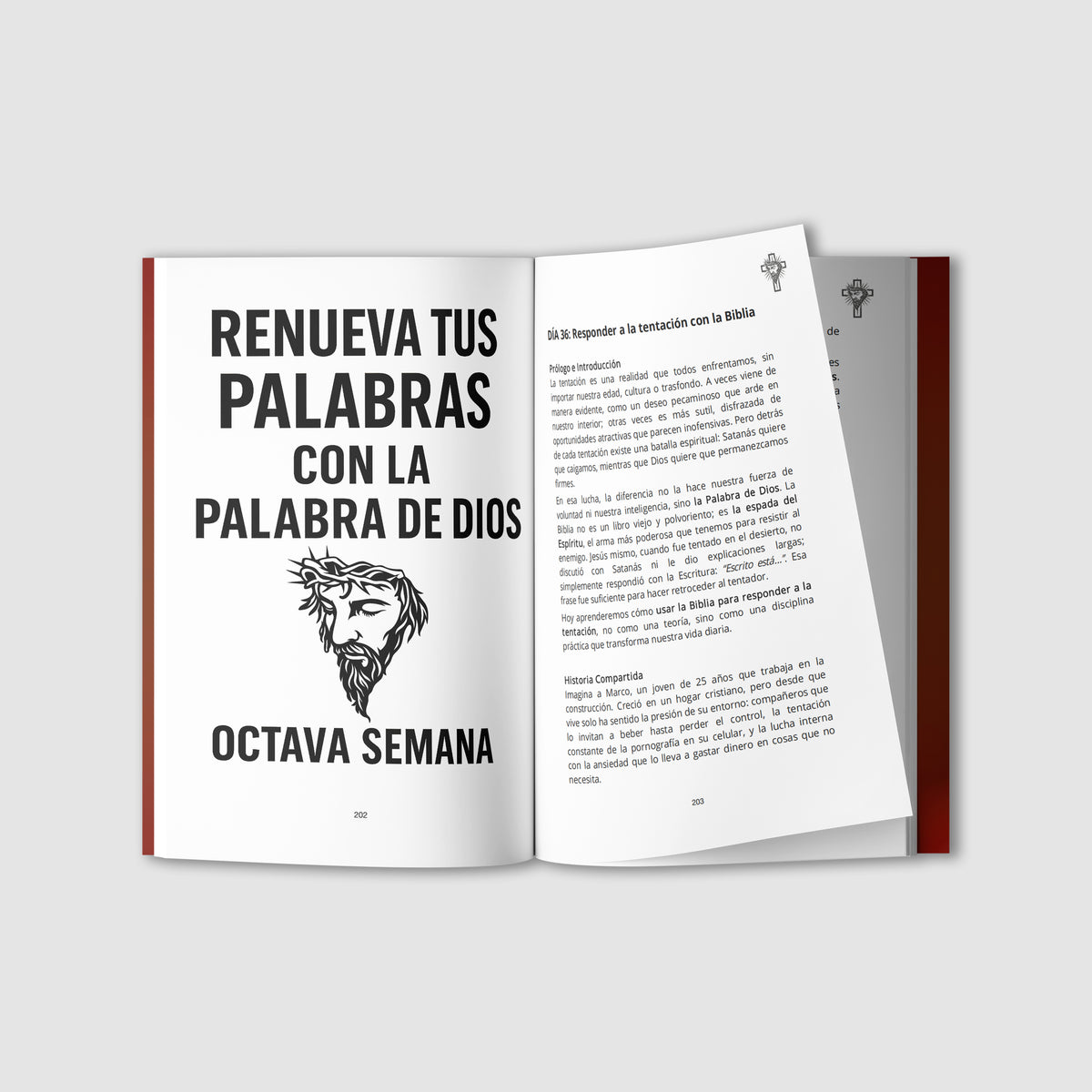 TRANSFORMACIÓN EN SILENCIO-zoom-5