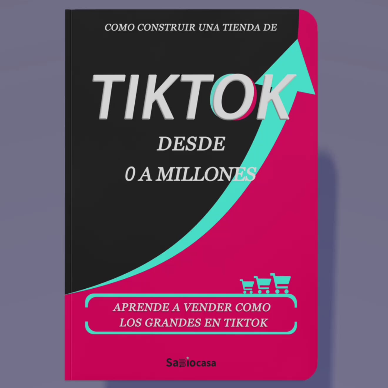 COMO CONSTRUIR UNA TIENDA DE TIKTOK DESDE 0 A MILLONES-9
